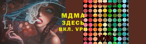 гашик Алексин