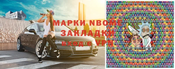 гашик Алексин