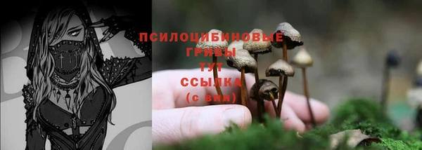 хмурый Алексеевка