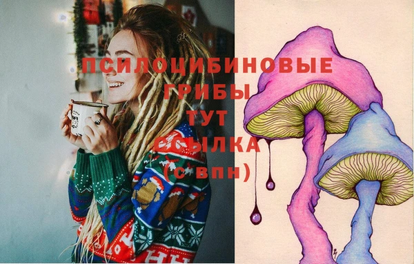 хмурый Алексеевка