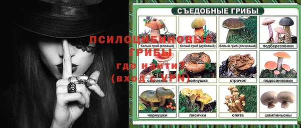 хмурый Алексеевка