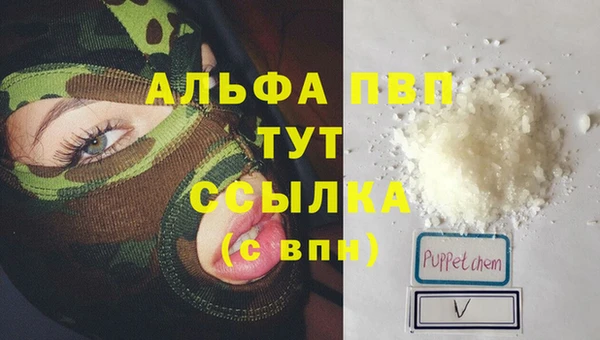 гашик Алексин