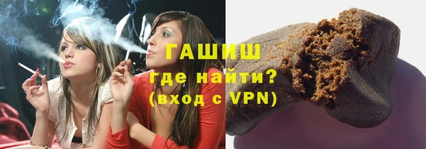 гашик Алексин