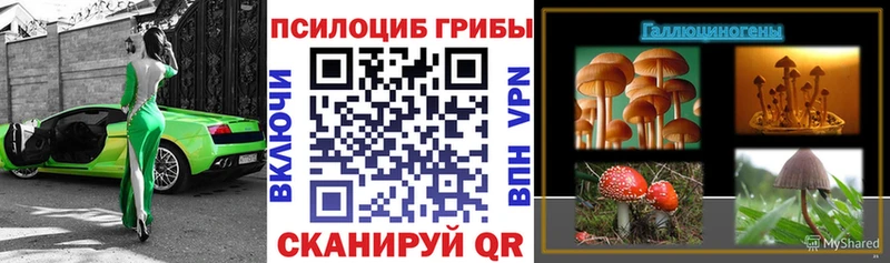 мега ссылка Анжеро-Судженск Галлюциногенные грибы прущие грибы